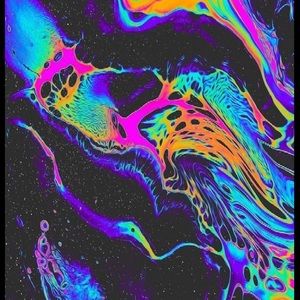 Meet your Posher, Bambi